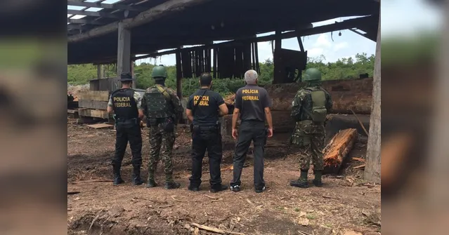 Imagem ilustrativa da notícia PF, Exército, IBAMA e SEMAS combatem ações ilegais de madeireiras em operação conjunta