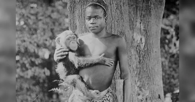 Imagem ilustrativa da notícia Jovem negro exposto em um zoo teve dentes lixados e cometeu suicídio