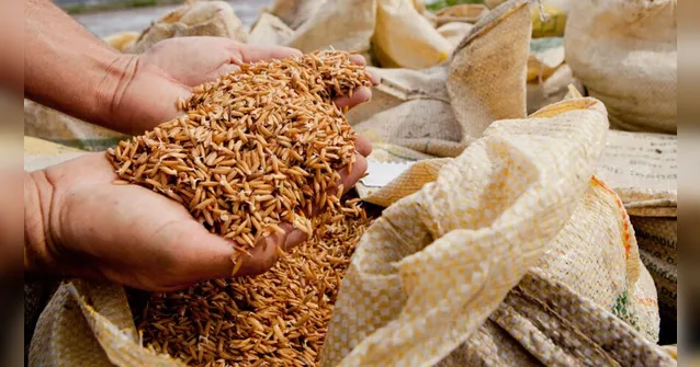 Imagem ilustrativa da notícia Representante dos supermercados pede que brasileiro troque arroz por macarrão