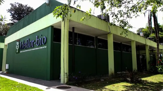 Imagem ilustrativa da notícia Ideflor-Bio abre vagas no Pará para profissionais de nível médio e superior