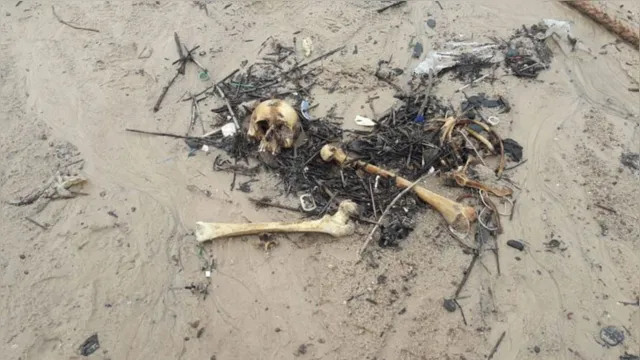 Imagem ilustrativa da notícia Restos mortais são encontrados por ribeirinho enquanto pescava