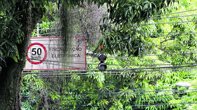 Imagem ilustrativa da notícia Galhos de árvores encobrem semáforos e placas em Belém; veja o trânsito agora!
