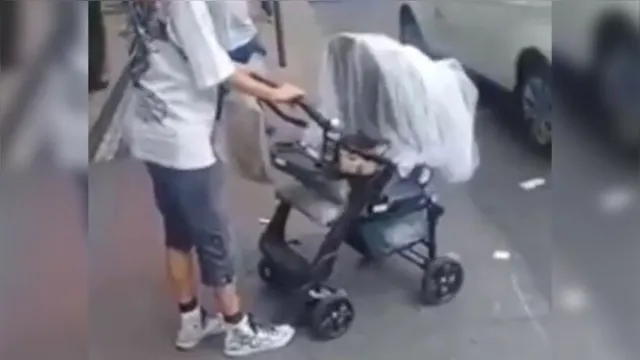 Imagem ilustrativa da notícia Idosa é flagrada levando cobra para passear em carrinho de bebê