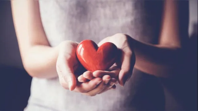 Imagem ilustrativa da notícia Dia Mundial do Coração: doenças do coração estão entre as principais causas de morte no país