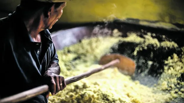 Imagem ilustrativa da notícia Documentário sobre produtor de farinha de Bragança vence festival na Itália