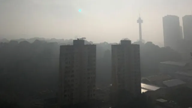 Imagem ilustrativa da notícia Belém amanhece com nuvem de fumaça e 'cheiro de queimado' intriga população