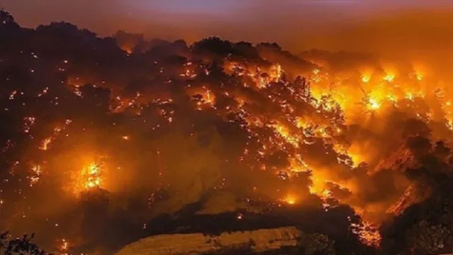 Imagem ilustrativa da notícia Incêndio florestal na Califórnia força moradores a deixarem suas casas