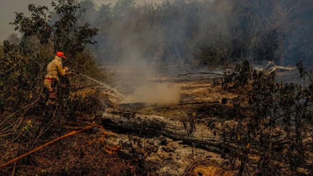 Imagem ilustrativa da notícia PF e órgãos estaduais apuram causas de incêndios no Pantanal