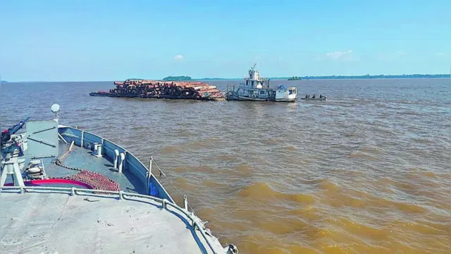 Imagem ilustrativa da notícia Marinha apreende madeira irregular no interior do Pará 