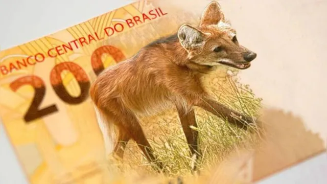 Imagem ilustrativa da notícia Nova cédula de R$ 200 já começa a circular nesta quarta (2)
