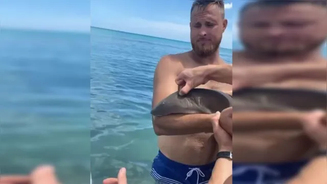 Imagem ilustrativa da notícia Tubarão "atraca" braço de homem durante ataque; veja o vídeo!