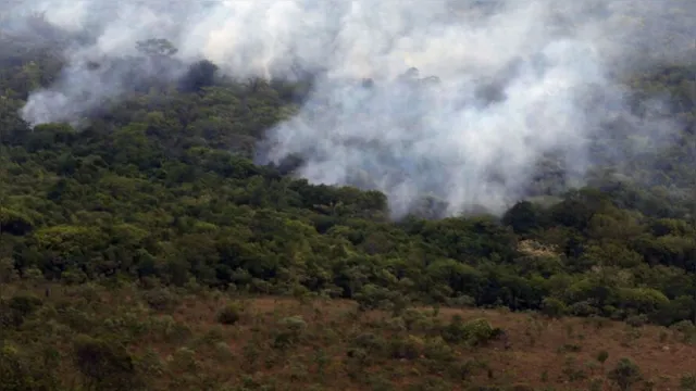 Imagem ilustrativa da notícia Amazônia registra recordes de focos de calor em julho