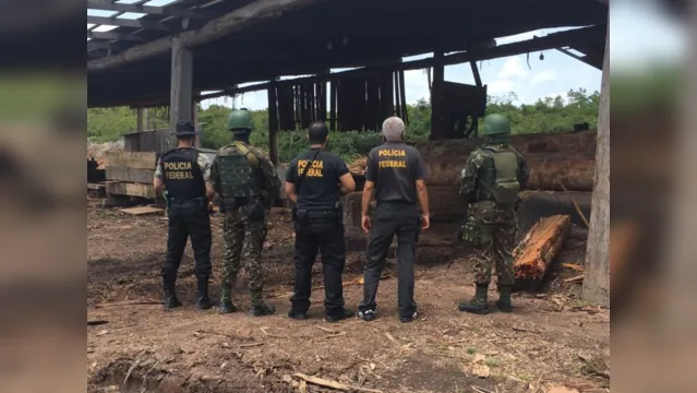 Imagem ilustrativa da notícia PF, Exército, IBAMA e SEMAS combatem ações ilegais de madeireiras em operação conjunta