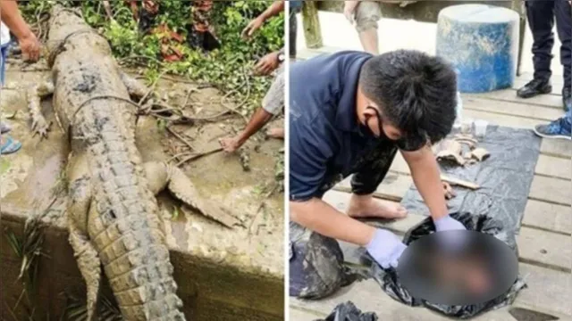 Imagem ilustrativa da notícia Corpo de garoto desaparecido é encontrado dentro de crocodilo