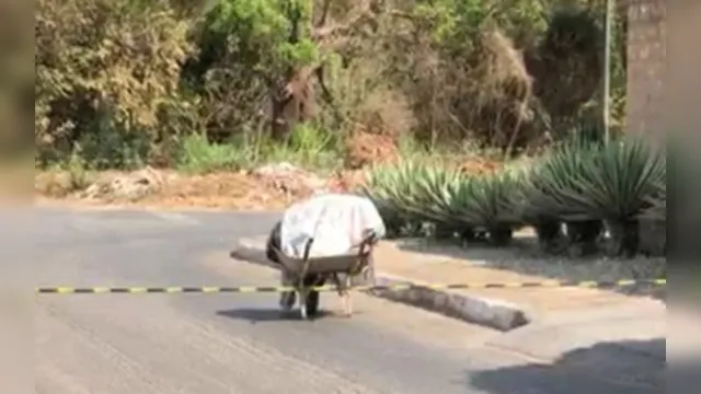 Imagem ilustrativa da notícia Homem é flagrado em vídeo levando cadáver em carrinho de mão