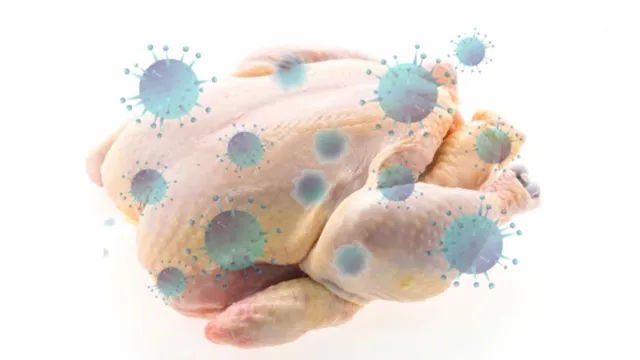 Imagem ilustrativa da notícia Filipinas proíbem frango do Brasil com medo do coronavírus