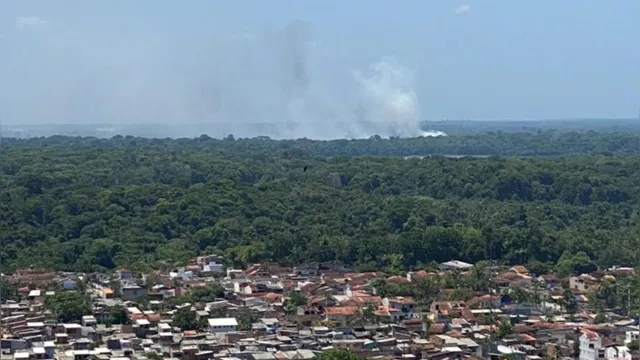 Imagem ilustrativa da notícia Grande Belém teve 26 focos de incêndio em um único dia