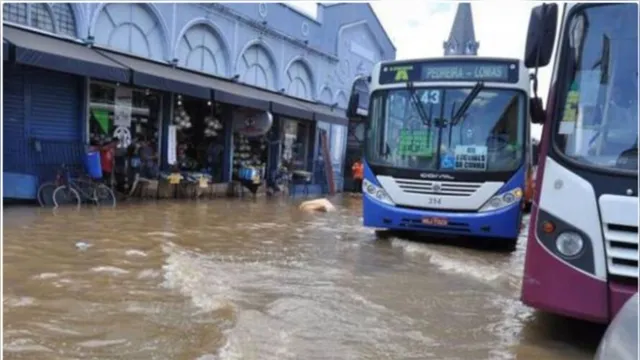Imagem ilustrativa da notícia Defesa Civil alerta para risco de maré alta em Belém, ilhas e distritos