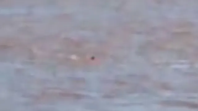 Imagem ilustrativa da notícia Veja o vídeo do momento em que menino desaparece em rio no oeste do Pará