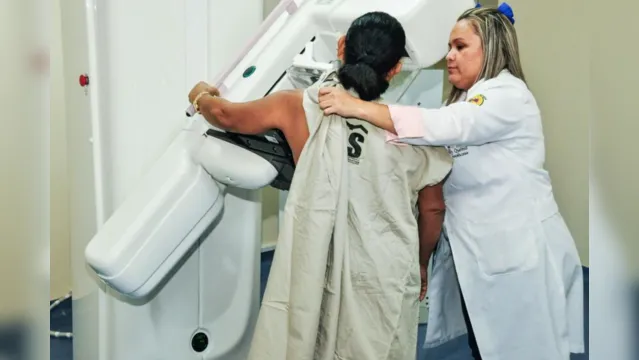 Imagem ilustrativa da notícia Sespa ofertará 5 mil mamografias e 5 mil consultas na campanha 'Outubro Rosa'