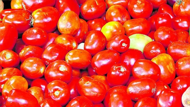 Imagem ilustrativa da notícia Tomate e óleo puxam a inflação na Grande Belém, aponta IBGE
