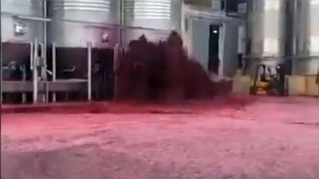 Imagem ilustrativa da notícia Vazamento de vinho na Espanha cria "mar vermelho". Veja o vídeo!