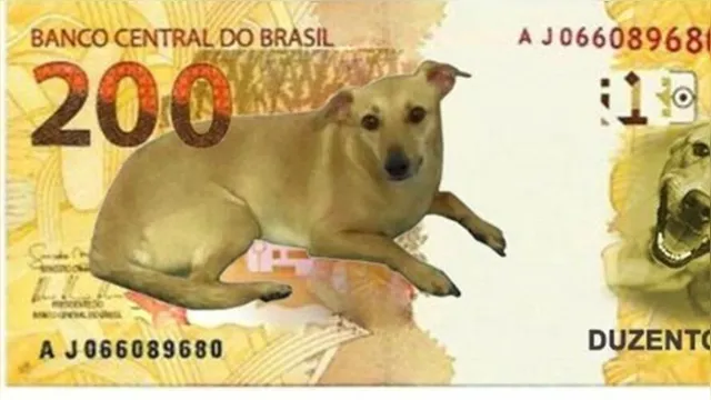 Imagem ilustrativa da notícia Vira-lata caramelo pode estampar nota de 200 reais, diz Banco Central