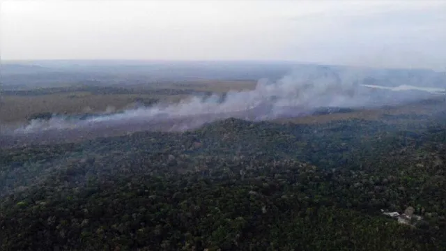 Imagem ilustrativa da notícia Mudança climática pode transformar quase metade da Amazônia em savana