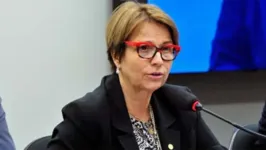 Tereza Cristina afirmou que o maio número de bois na região teria impedido as queimadas, teoria criticada por ambientalistas.
