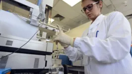 Segundo informa o boletim, o diagnóstico ocorreu em um adulto internado no estado da Bahia e foi confirmado pelo Laboratório do Hospital das Clínicas da Faculdade de Medicina da Universidade de São Paulo