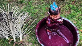 Imagem ilustrativa da notícia Bebê raiz: criança esbanja fofura em uma bacia de açaí