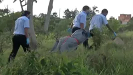 Dos sete corpos encontrados, apenas um era de uma mulher 