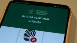 O tribunal afirma que cerca de 16 milhões de eleitores já têm o aplicativo, o que equivale a aproximadamente 10% do eleitorado brasileiro