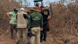 No momento do flagrante, 10 homens usavam motosserras para derrubar árvores.