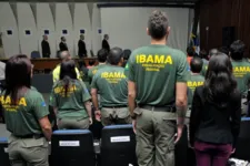 Além da pandemia, as eleições municipais diminuem a quantidade de certames devido a legislação.

