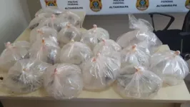 Os animais foram encontrados em sacos plásticos, distribuídos em três malas diferentes