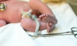 Imagem ilustrativa da notícia Governo do Pará vai apurar rigorosamente caso de bebê que teve cabeça arrancada na Santa Casa