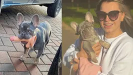 Imagem ilustrativa da notícia Cachorro pega 'brinquedinho' da dona e sai correndo pela rua com objeto na boca