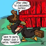 Imagem ilustrativa da notícia Pato que partiu