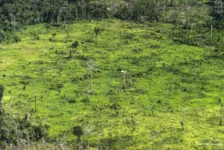 Imagem ilustrativa da notícia MPF recomenda suspensão imediata de expedição da Funai em área de indígenas isolados no Pará