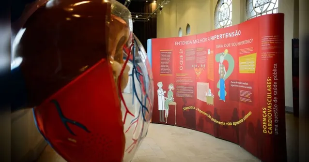 Imagem ilustrativa da notícia Raiva e falta de perdão podem levar a doenças, diz médico