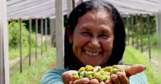 Imagem ilustrativa da notícia Produção da agricultora familiar em Marituba é destaque em programa da Globo