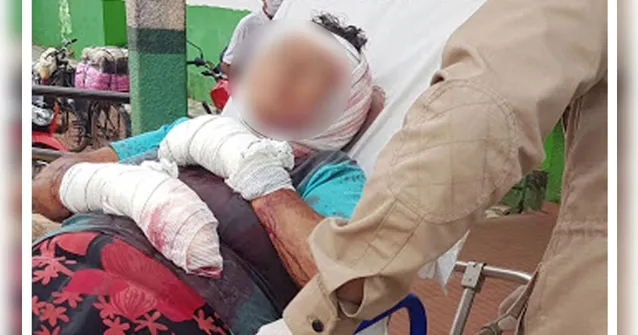 Imagem ilustrativa da notícia Idosa é esfaqueada com requintes de crueldade; agressor é identificado