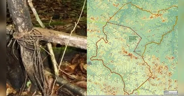 Imagem ilustrativa da notícia Funai cogita reduzir área no Pará com vestígios de índios isolados