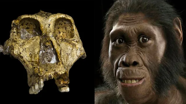 Imagem ilustrativa da notícia Crânio de ancestral humano de 2 milhões de anos é encontrado, veja!