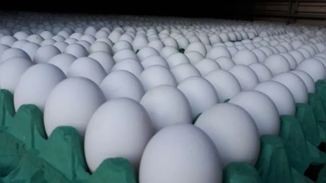 Imagem ilustrativa da notícia Com alta do dólar, preço dos ovos e carne de frango vai subir no Pará