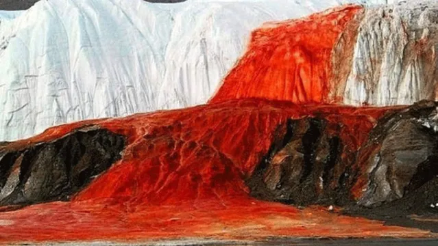 Imagem ilustrativa da notícia Misteriosa "catarata de sangue" na Antártida intriga cientistas, veja!