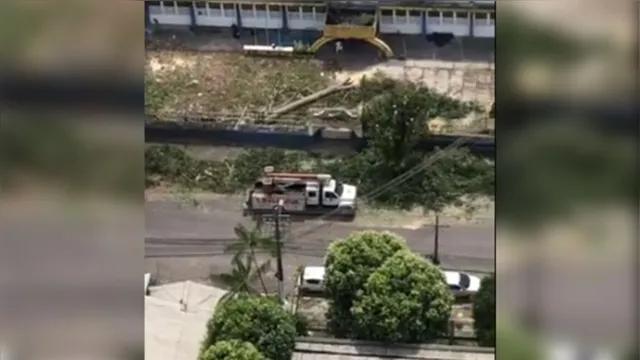Imagem ilustrativa da notícia Árvores são retiradas sem explicação de rua de Belém 