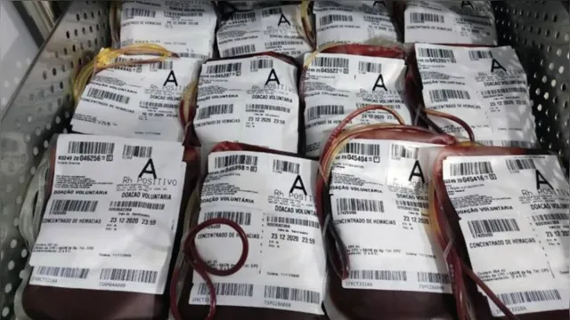 Imagem ilustrativa da notícia Hemopa envia bolsas de sangue ao Amapá para reforçar estoque