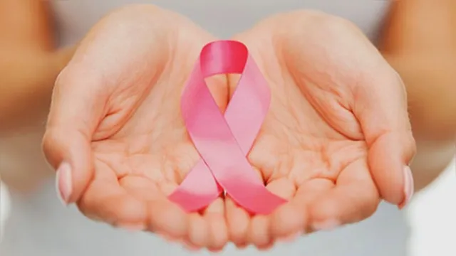 Imagem ilustrativa da notícia Câncer de mama: confira lista com direitos e dicas para mulheres com a doença
